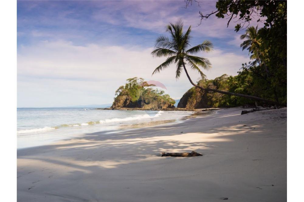 Commercial - Land - Tarcoles - Quebrada Ganado, Puntarenas- Garabito, Costa Rica - Caribbean & Central Ameri - 2 - 90168035-16