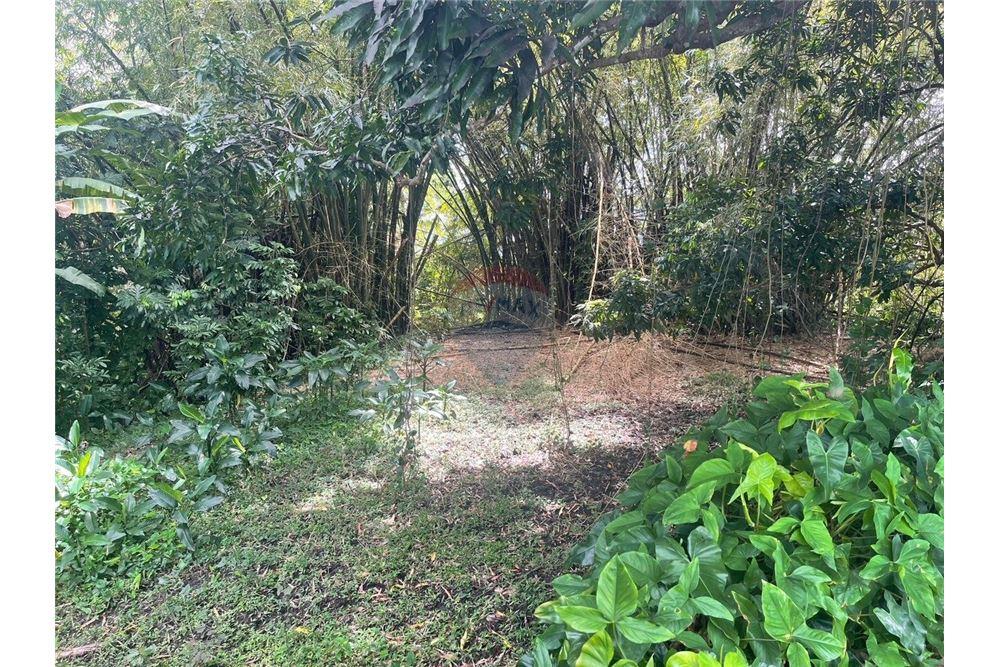 Lote - Venta - Yabucoa, Yabucoa, Puerto Rico - 2 - 90102037-11