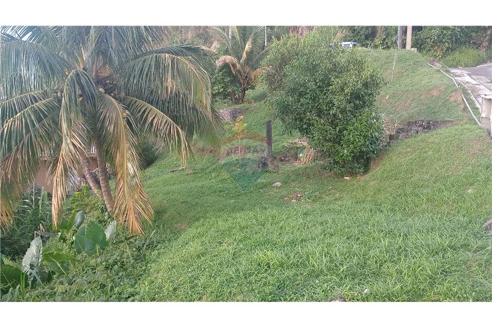 商业 - 土地 - Gomea, St Vincent, St Vincent and the Grenadines - Caribbean & Central Ameri - 1 - 90109008-7