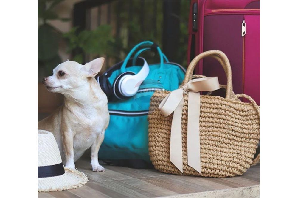 Wohnung - Villa - Placencia, Stann Creek District, Belize - Caribbean & Central Ameri - 15 - 90127025-60