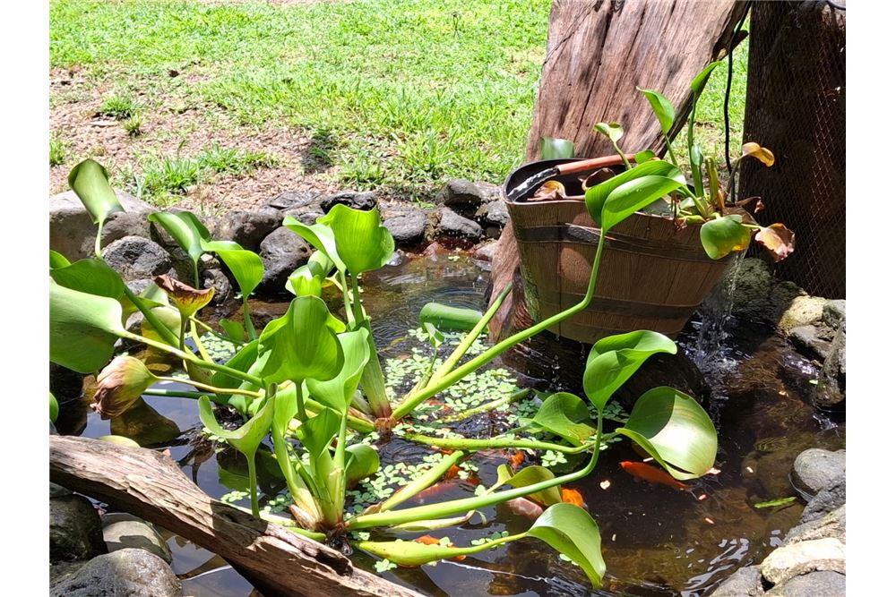 住宅 - 多户住宅 - Puntarenas, Puntarenas - Puntarenas, 哥斯达黎加 - Caribbean & Central Ameri - 8 - 90168039-34