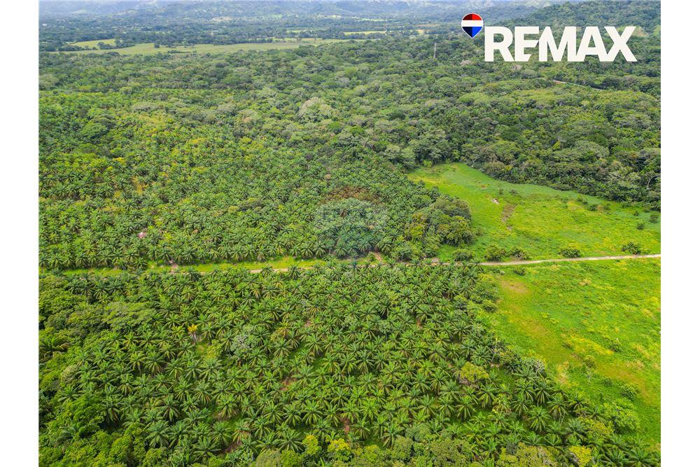 商业 - 土地 - Parrita - Esterillos, Puntarenas - Parrita, 哥斯达黎加 - Caribbean & Central Ameri - 9 - 90168050-29