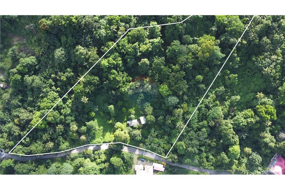 Commercial - Land - Soufrière, Soufrière, St Lucia - Caribbean & Central Ameri - 1 - 902071001-217