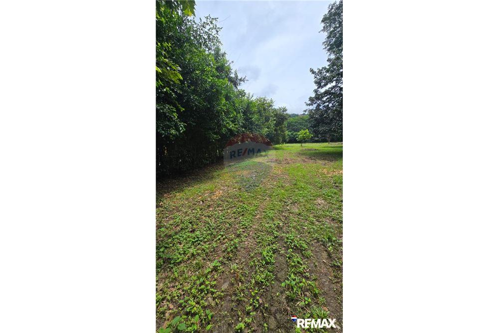 Commercial - Land - Jaco - Playa Hermosa, Puntarenas- Garabito, Costa Rica - Caribbean & Central Ameri - 5 - 90168005-700