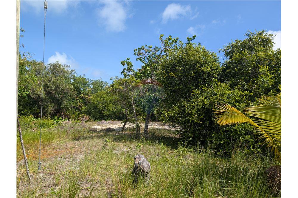 Commercial - Land - Maya Beach, Stann Creek District, Belize - Caribbean & Central Ameri - 3 - 90127016-282