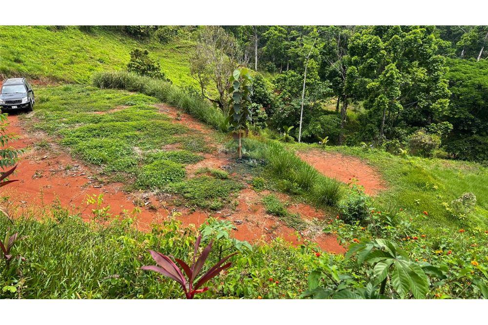 Commercial - Land - Bijagual, Puntarenas, Costa Rica - Caribbean & Central Ameri - 17 - 90168042-14