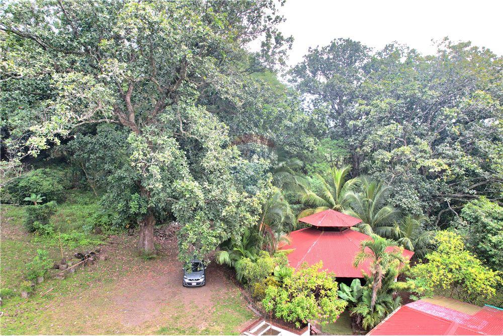 Residential - Villa - Atenas, Alajuela- Atenas, Costa Rica - Caribbean & Central Ameri - 7 - 90128007-190