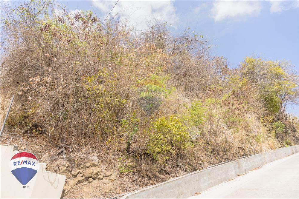 Land - For Sale - Lance aux Epines, Saint George, Grenada - 3 - 902581001-102