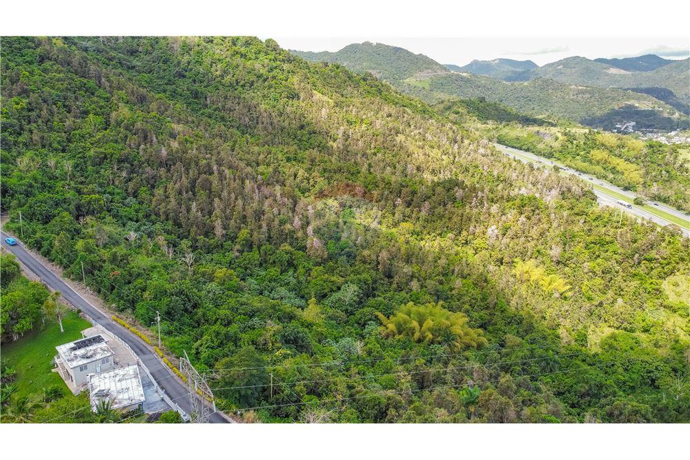 Commercial - Land - Cayey, Cayey, Puerto Rico - Caribbean & Central Ameri - 2 - 902461010-4