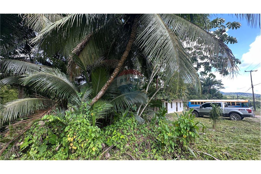 Land - For Sale - Middlesex, Stann Creek District, Belize - 21 - 901951044-45