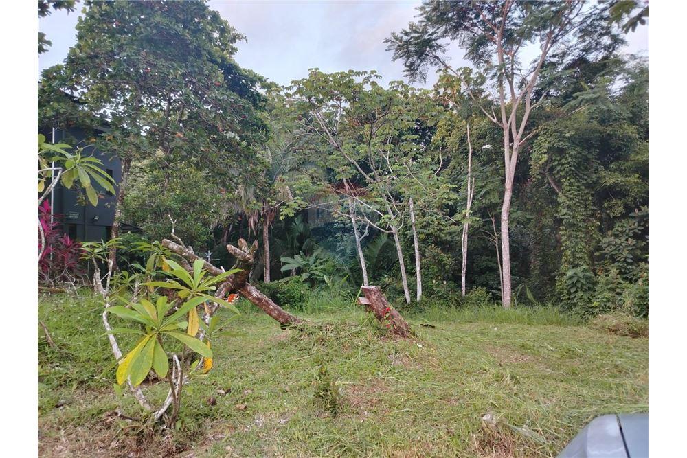 商业 - 土地 - Jaco - Jaco, Puntarenas- Garabito, 哥斯达黎加 - Caribbean & Central Ameri - 3 - 90168024-62