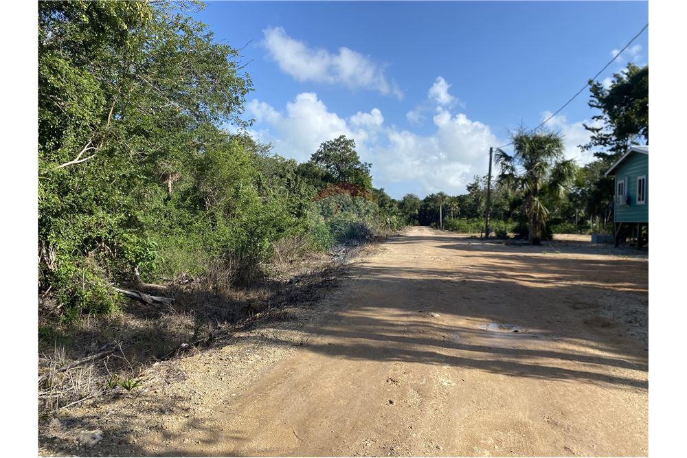 Surface commerciale - Autre terrain - Consejo, Corozal District, Belize - Caribbean & Central Ameri - 8 - 901411007-88