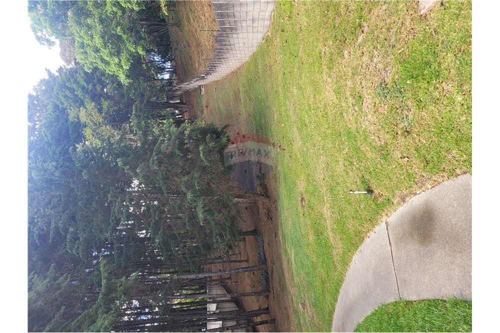 Land - For Sale - Fraijanes, Guatemala, Guatemala - 1 - 902091021-3