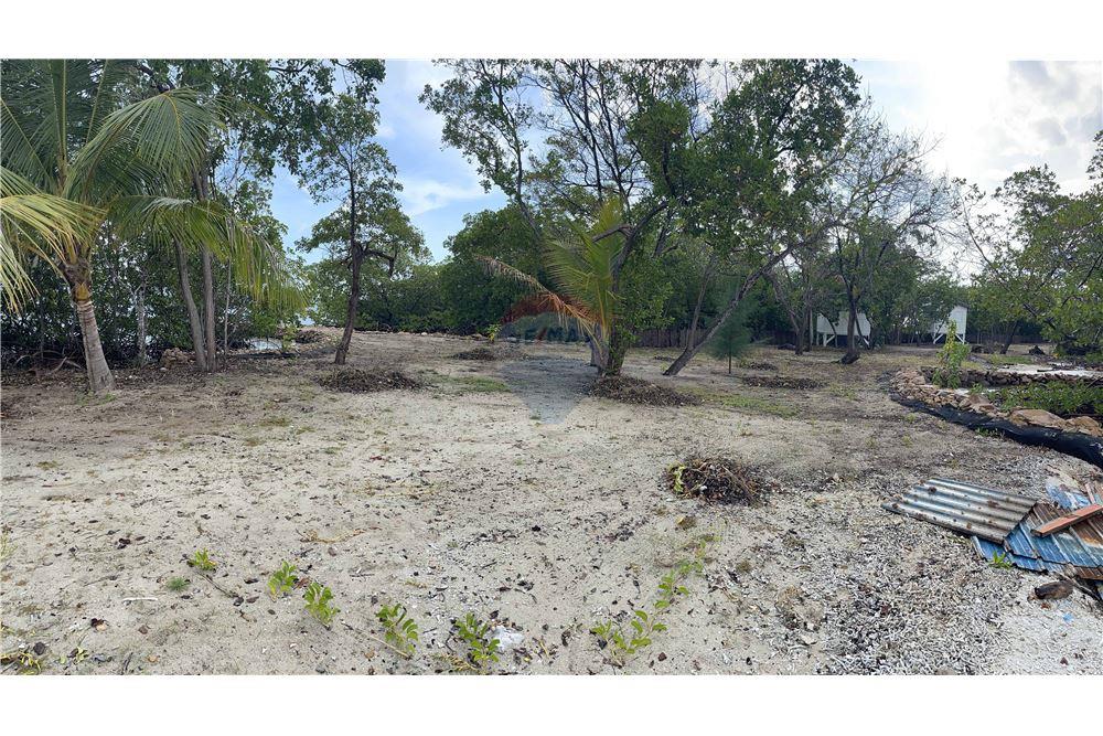 Commercial - Land - Placencia, Stann Creek District, Belize - Caribbean & Central Ameri - 15 - 90127016-276