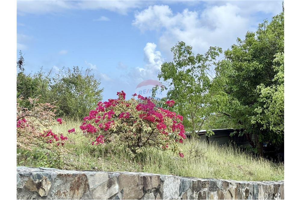 Villa - Te Koop - West End, Tortola, British Virgin Islands - 2 - 90134005-297