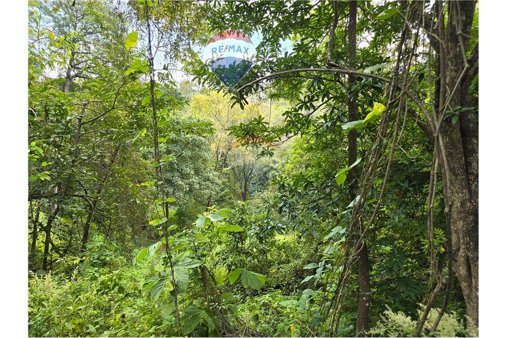 Commercial - Land - Nandaime, Granada, Nicaragua - Caribbean & Central Ameri - 10 - 90119010-73