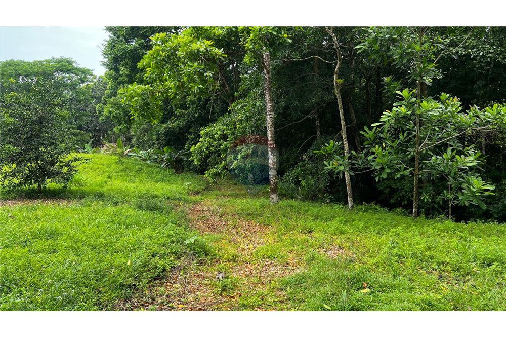Commercial - Land - Bijagual, Puntarenas, Costa Rica - Caribbean & Central Ameri - 19 - 90168042-14