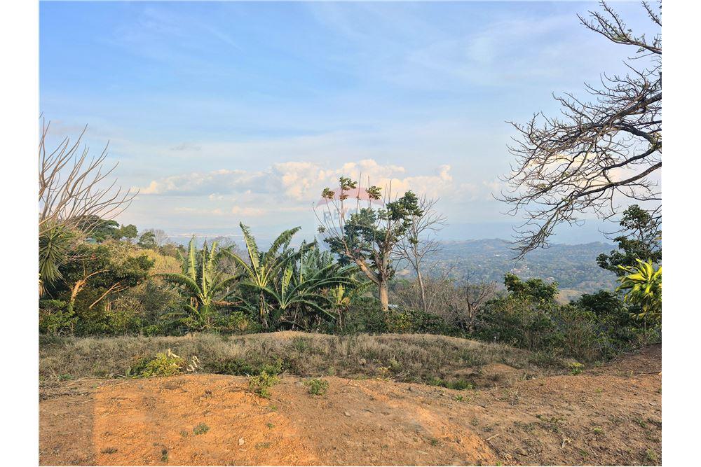 Commercial - Land - Atenas, Alajuela- Atenas, Costa Rica - Caribbean & Central Ameri - 2 - 90128007-166
