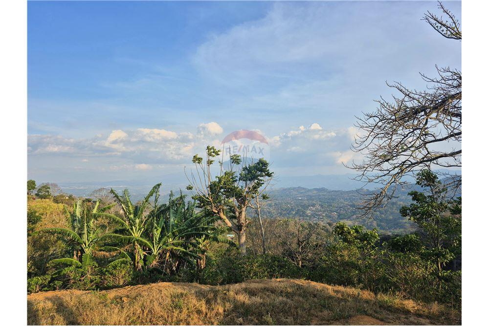 Commercial - Land - Atenas, Alajuela- Atenas, Costa Rica - Caribbean & Central Ameri - 1 - 90128007-166