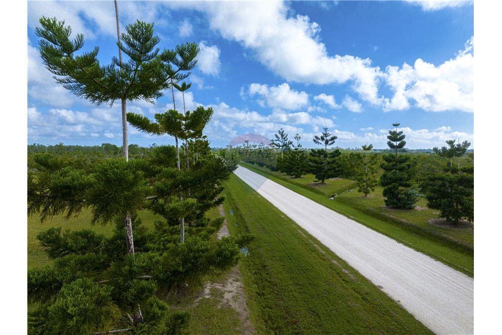 Commercial - Land - Stann Creek, Stann Creek District, Belize - Caribbean & Central Ameri - 13 - 90127022-91