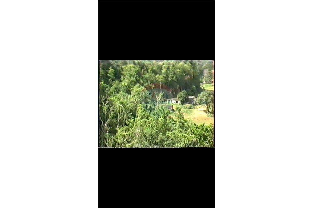 Land - For Sale - Dorado, Dorado, Puerto Rico - 9 - 90102025-331