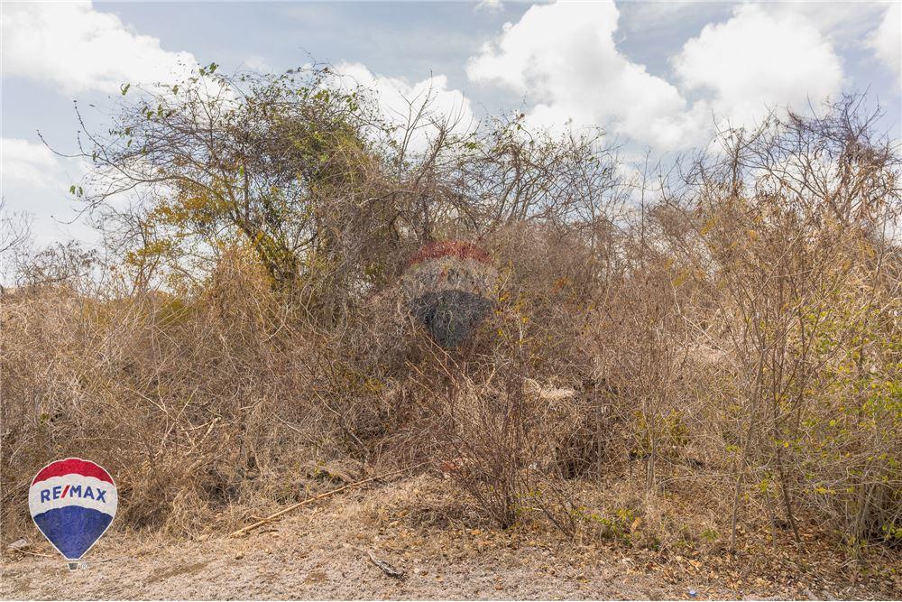 Land - For Sale - Lance aux Epines, Saint George, Grenada - 8 - 902581001-102