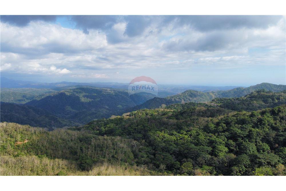 Surface commerciale - Autre terrain - San José, San José, Costa Rica - Caribbean & Central Ameri - 6 - 90168030-68