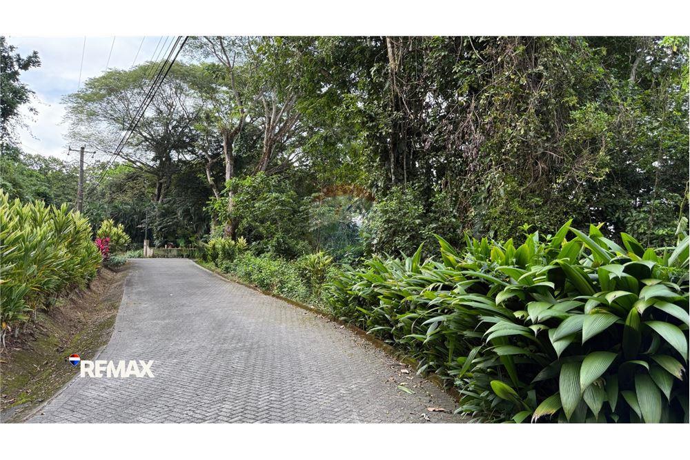 商业 - 土地 - Puntarenas, Puntarenas - Puntarenas, 哥斯达黎加 - Caribbean & Central Ameri - 2 - 90168041-27