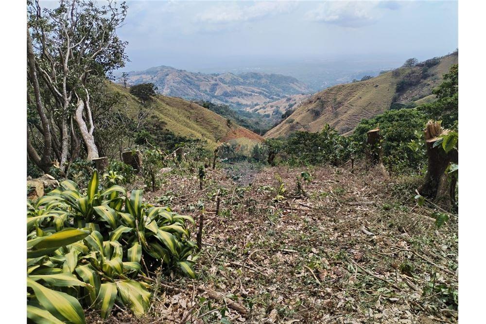 Commercial - Land - Atenas, Alajuela- Atenas, Costa Rica - Caribbean & Central Ameri - 7 - 90128007-170