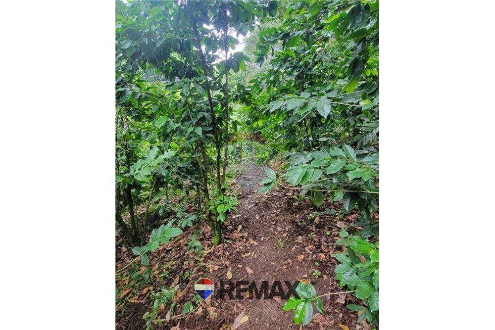 Land - For Sale - San Martin, San Salvador, El Salvador - 5 - 902501008-21