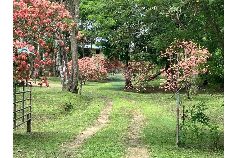 Commercial - Land - Red Bank, Stann Creek District, Belize - Caribbean & Central Ameri - 2 - 90127016-278