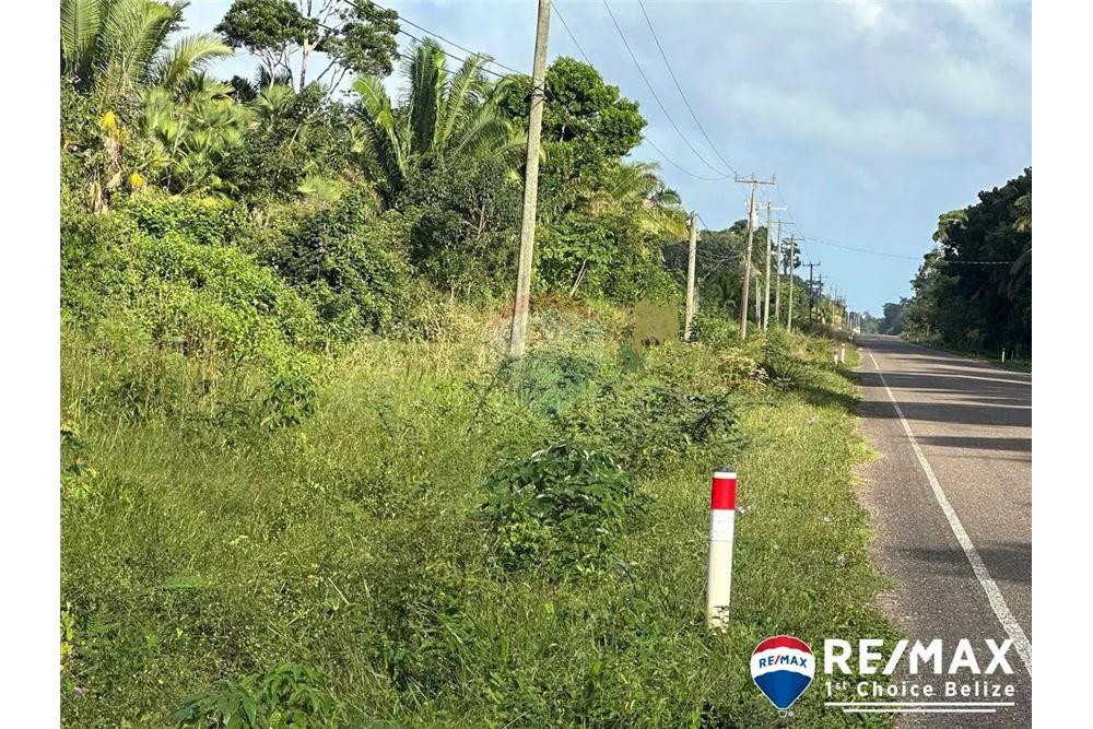 Comercial - Terreno - Hopkins, Stann Creek District, Belice - Caribbean & Central Ameri - 2 - 90127003-307