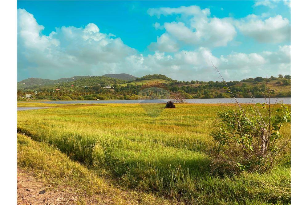 Grondstuk - Te Koop - Vieux Fort, Vieux-Fort, St Lucia - 4 - 902071001-206