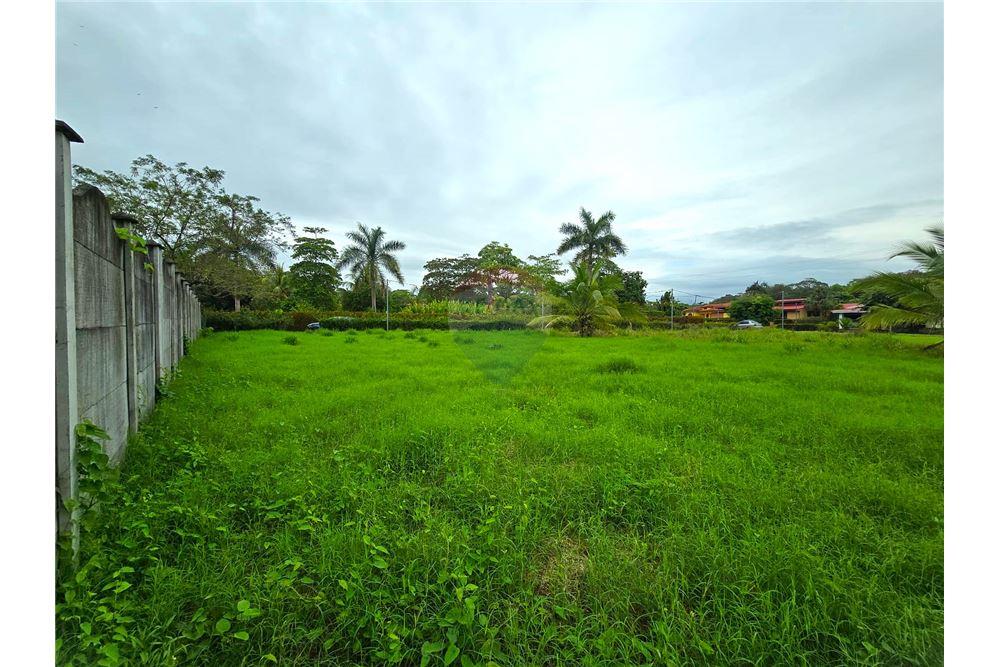 Commercial - Land - Bejuco, Guanacaste - Nandayure, Costa Rica - Caribbean & Central Ameri - 2 - 90168011-801