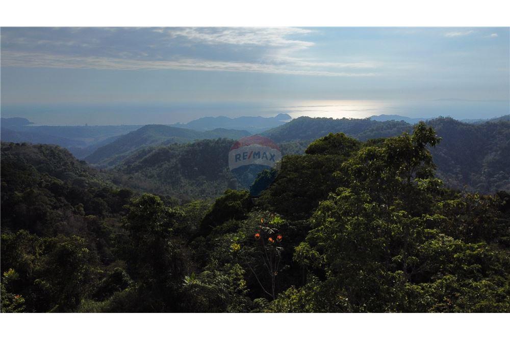 Surface commerciale - Autre terrain - San José, San José, Costa Rica - Caribbean & Central Ameri - 1 - 90168030-68