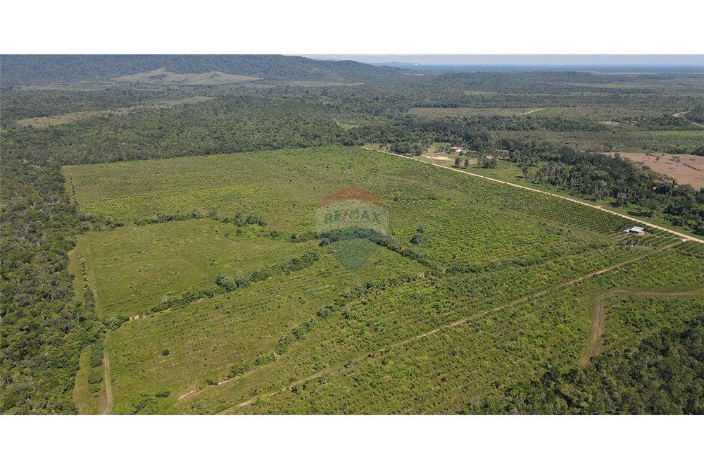 Venta de Negocio - Venta - Silk Grass, Stann Creek District, Belice - 6 - 901911013-62
