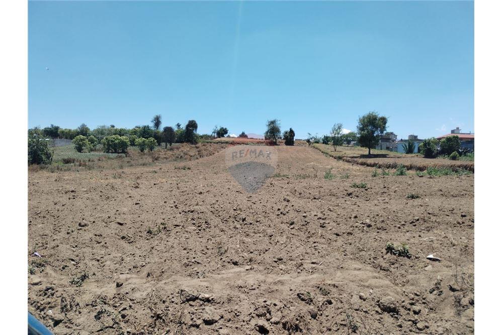 Lote - Venta - Quetzaltenango, Quetzaltenango, Guatemala - 3 - 901011001-28