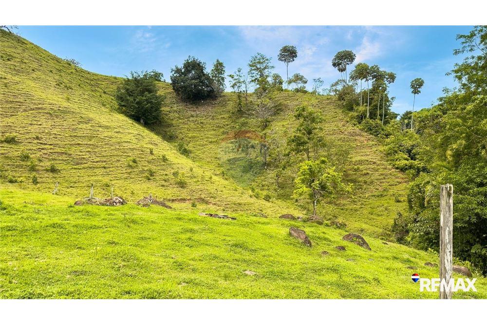 Comercial - Terreno - Parrita, Puntarenas - Parrita, Costa Rica - Caribbean & Central Ameri - 14 - 90168003-467