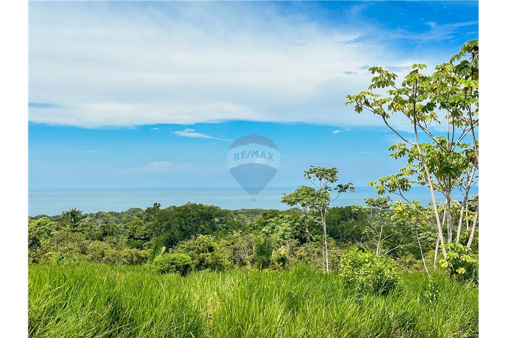 Surface commerciale - Autre terrain - Parrita - Esterillos, Puntarenas - Parrita, Costa Rica - Caribbean & Central Ameri - 13 - 90168039-31