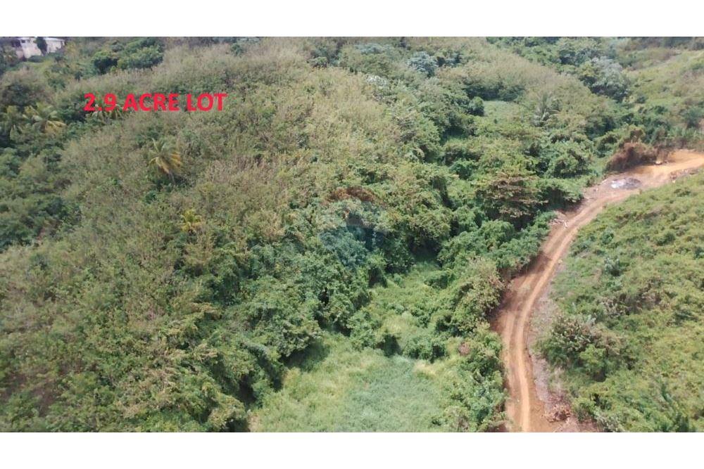 Comercial - Terrenos - Argyle, St Vincent, St Vincent and the Grenadines - Caribbean & Central Ameri - 2 - 90109001-309