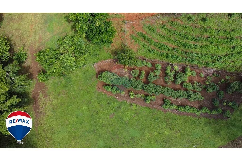 Commercio - Terreno - San José, San José, Costa Rica - Caribbean & Central Ameri - 1 - 90168030-67