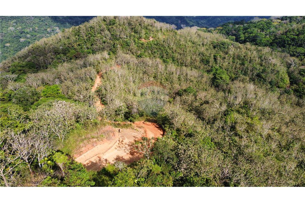 Surface commerciale - Autre terrain - San José, San José, Costa Rica - Caribbean & Central Ameri - 12 - 90168030-68