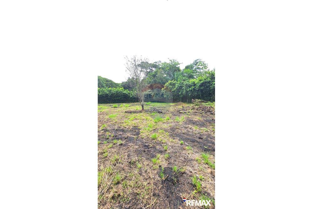 Commercial - Land - Jaco - Playa Hermosa, Puntarenas- Garabito, Costa Rica - Caribbean & Central Ameri - 14 - 90168005-700