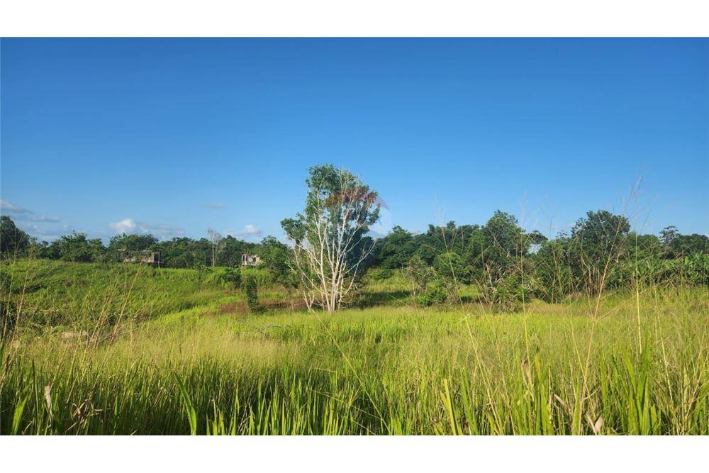 Land - For Sale - Las Lomas, Caroni, Trinidad and Tobago - 7 - 902551007-7