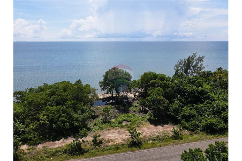 Lote - Venta - Placencia, Stann Creek District, Belice - 5 - 90127025-55