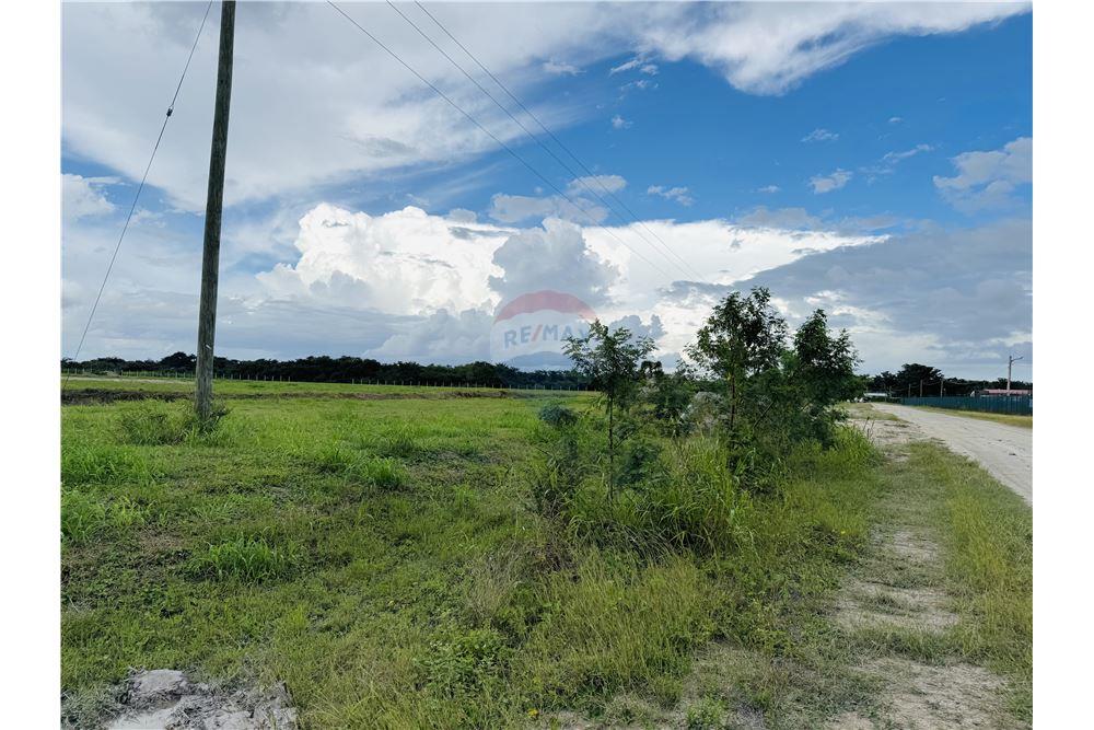 Commercial - Land - Libertad, Corozal District, Belize - Caribbean & Central Ameri - 12 - 901411007-98