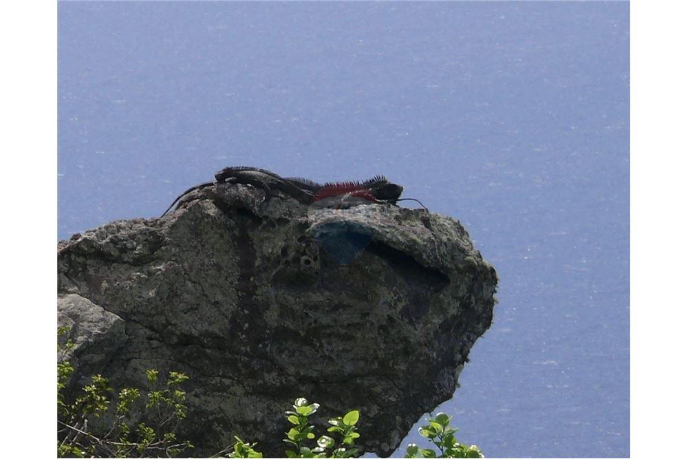 Villa - Te Koop - Dawn Beach, St Maarten, St. Maarten - 14 - 90144016-16