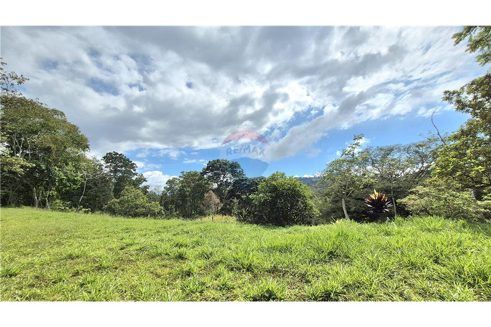 Comercial - Terreno - Atenas, Alajuela- Atenas, Costa Rica - Caribbean & Central Ameri - 6 - 90128007-195