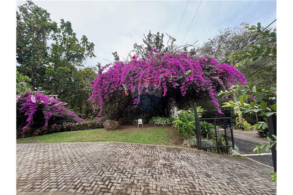 Residenziale - Villa - Atenas, Alajuela- Atenas, Costa Rica - Caribbean & Central Ameri - 6 - 90128002-1006