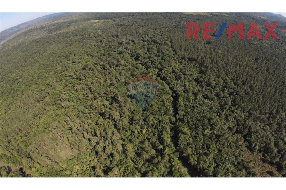 Land - For Sale - Poptún, Petén, Guatemala - 5 - 902691018-30